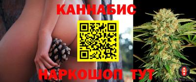 СК Краснознаменск