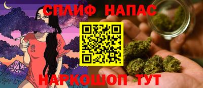 СК Краснознаменск