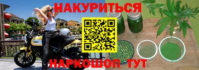 сатива Краснодар